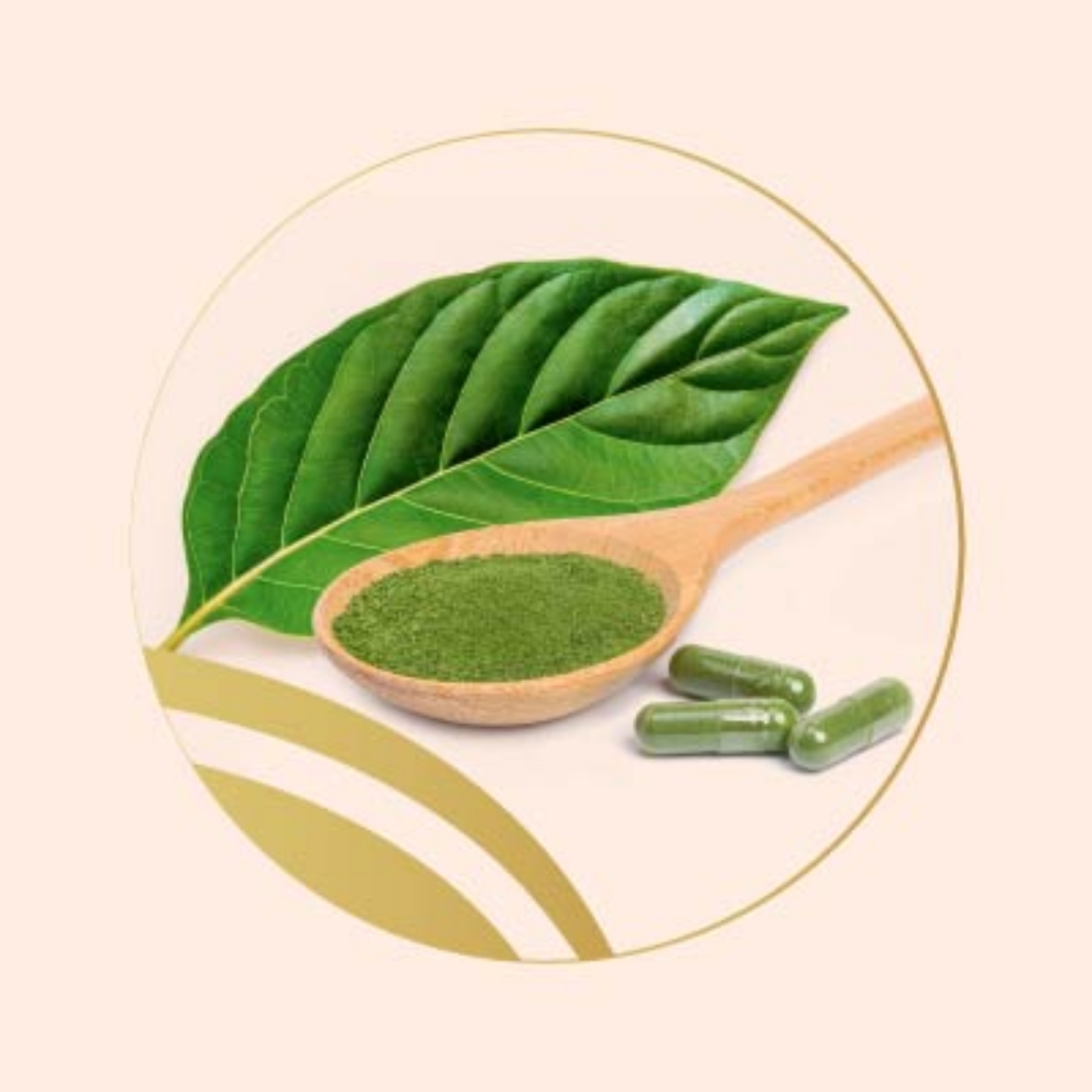 Picture for category Herbs Supplements
