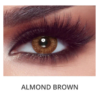 Picture of BELLA ONE DAY CONTACT LENSES (ALMOND BROWN)