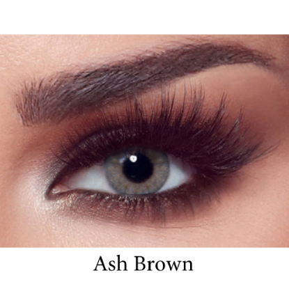 BELLA ONE DAY CONTACT LENSES (ASH BROWN)