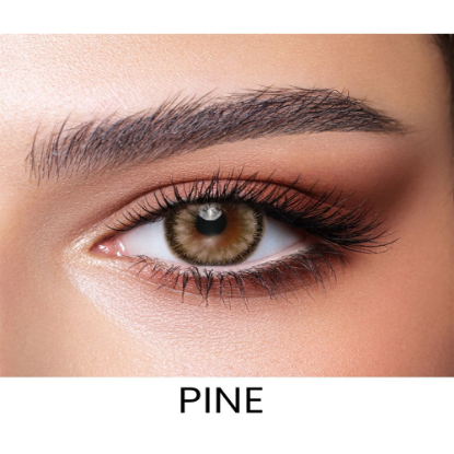 BELLA ONE DAY CONTACT LENSESS (PINE)